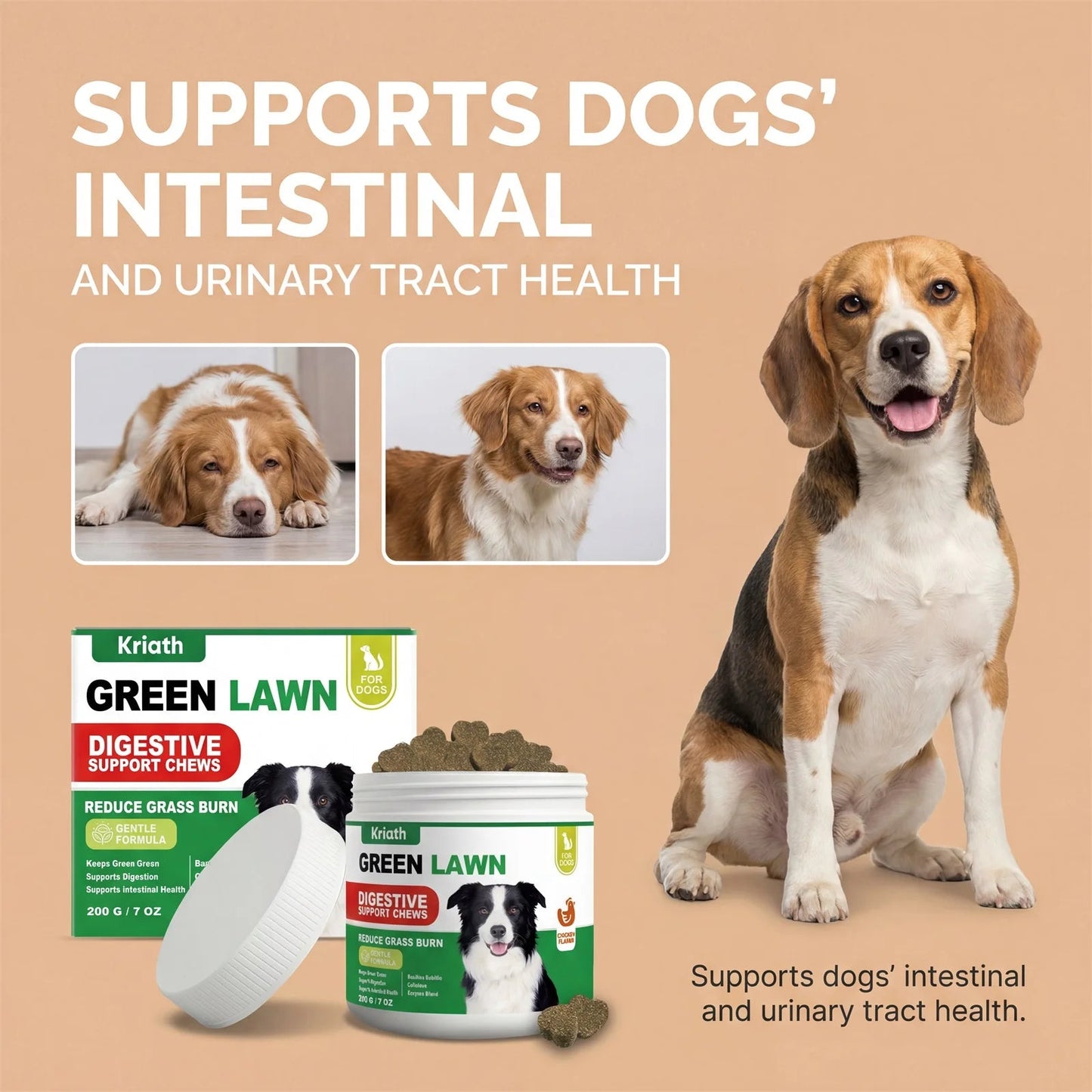Dog Probiotics Digestive Enzymes for Gut Health Urinary Tract Support Chicken Flavor Pet Supplements Gas Relief Chews 200g Happy Tails Pet Shop Store