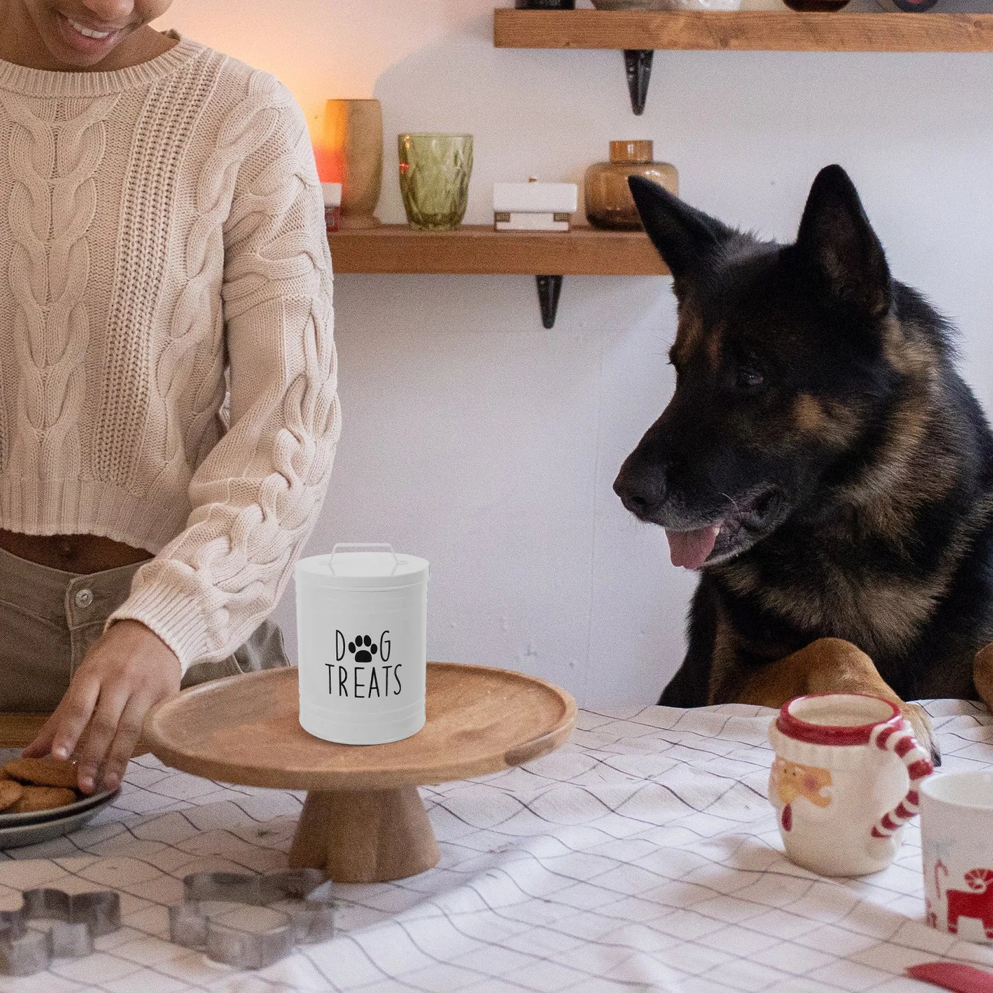 Cubo hermético de metal para pienso de perro, contenedor de comida para cachorros, bote para golosinas de perro para encimera de cocina, organizador de aperitivos