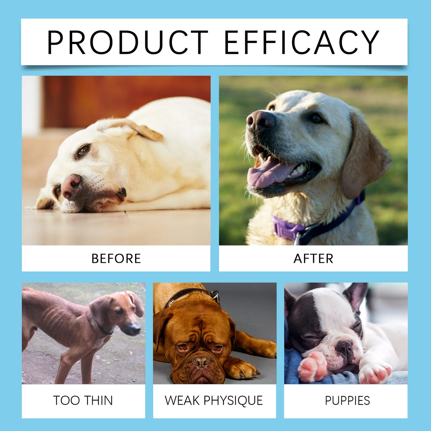 Strong Bones Pet Vitamin Supplement Drops Promote Calcium Absorption Boost Immunity Enhance Vitality Dietary Supplement Drops