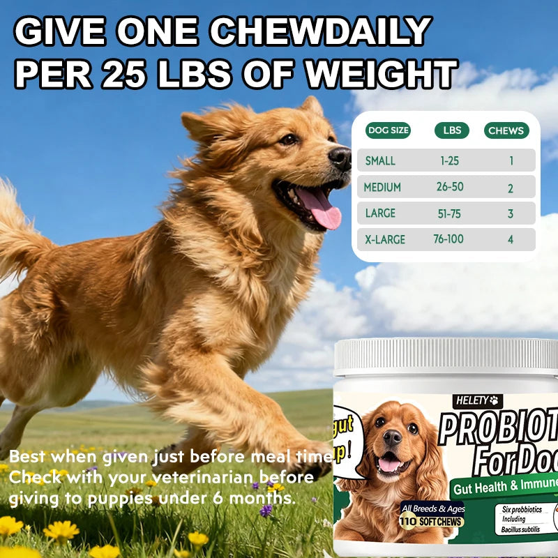 Probiotics for Dogs Digestive Health Soft Chews with Pumpkin & Fish Oil 120 Count Gut Health Itchy Relief Dog Probiotic Suppleme Happy Tails Pet Shop Store