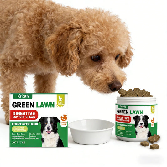 Dog Probiotics Digestive Enzymes for Gut Health Urinary Tract Support Chicken Flavor Pet Supplements Gas Relief Chews 200g Happy Tails Pet Shop Store