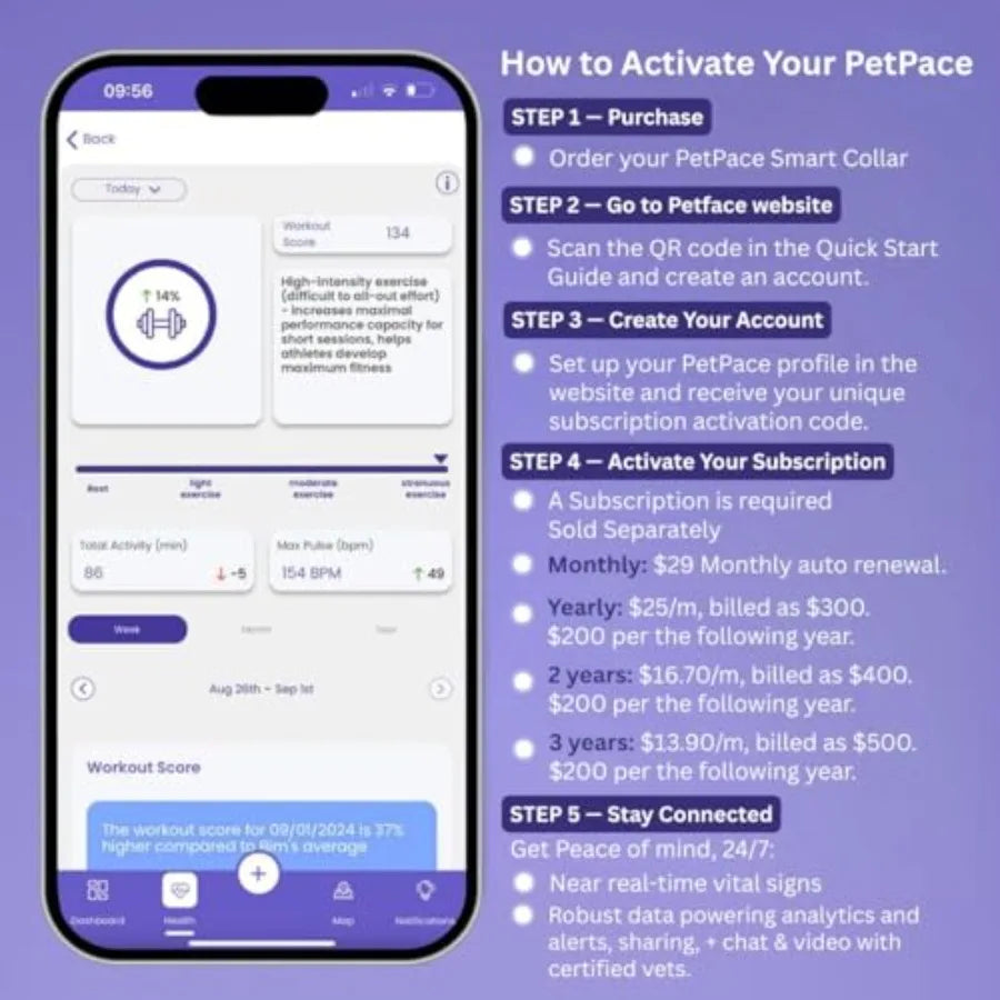 Collier de santé intelligent pour chiens avec surveillance continue des signes vitaux, alertes de douleur et de crises d'épilepsie, suivi GPS, téléconsultations et application de partage avec le vétérinaire. 