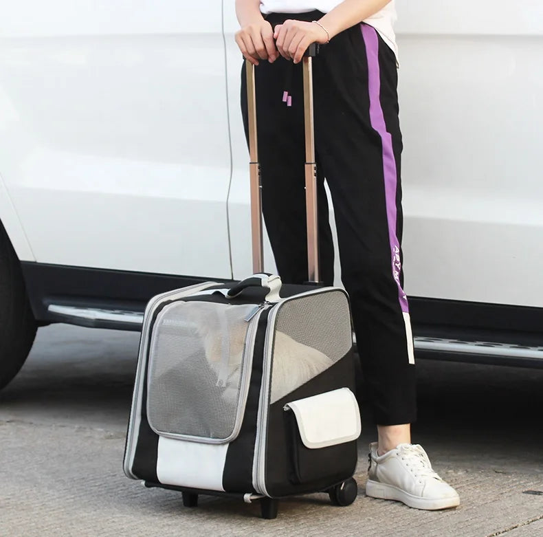 Mochila de Viagem para Cães com Rodas, Carrinho de Cachorro Impermeável, Mochila Transportadora de Animais de Estimação, Mochila de Viagem com Malha para Filhotes e Gatos