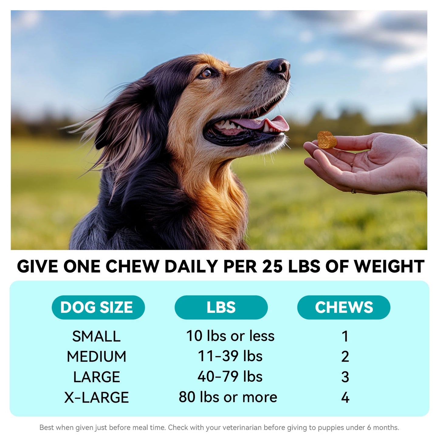 Dog Calming Chews, Helps With Dog Separation, Barking, Stress, Sleep Calming Aid Treats, For All Breeds & Sizes - Pet Food&Pet Snacks-120 Beef Soft Chews