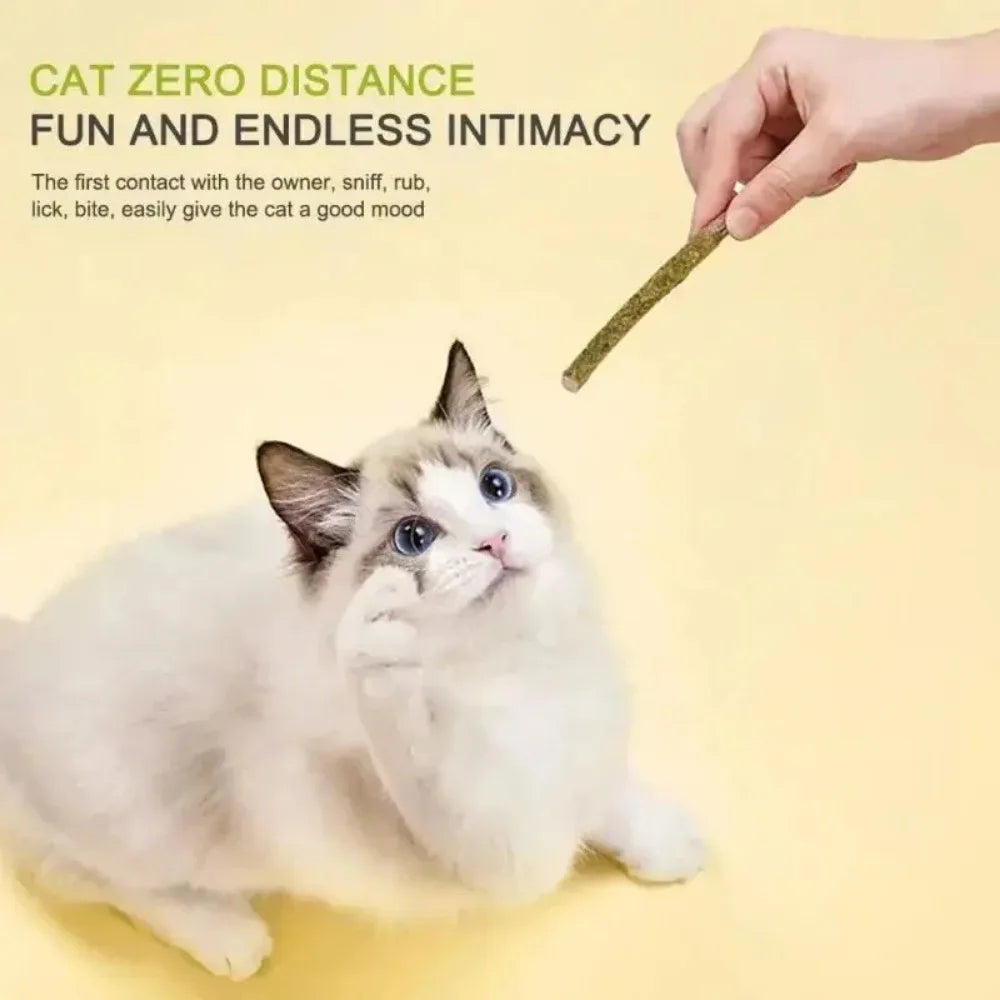 6pcs Natural Matatabi Cat Stick Mint Caught Bite Excited Rods Silvervine For Cat Teeth Cleaning Treating Pet Supply Cat Toys Happy Tails Pet Shop Store