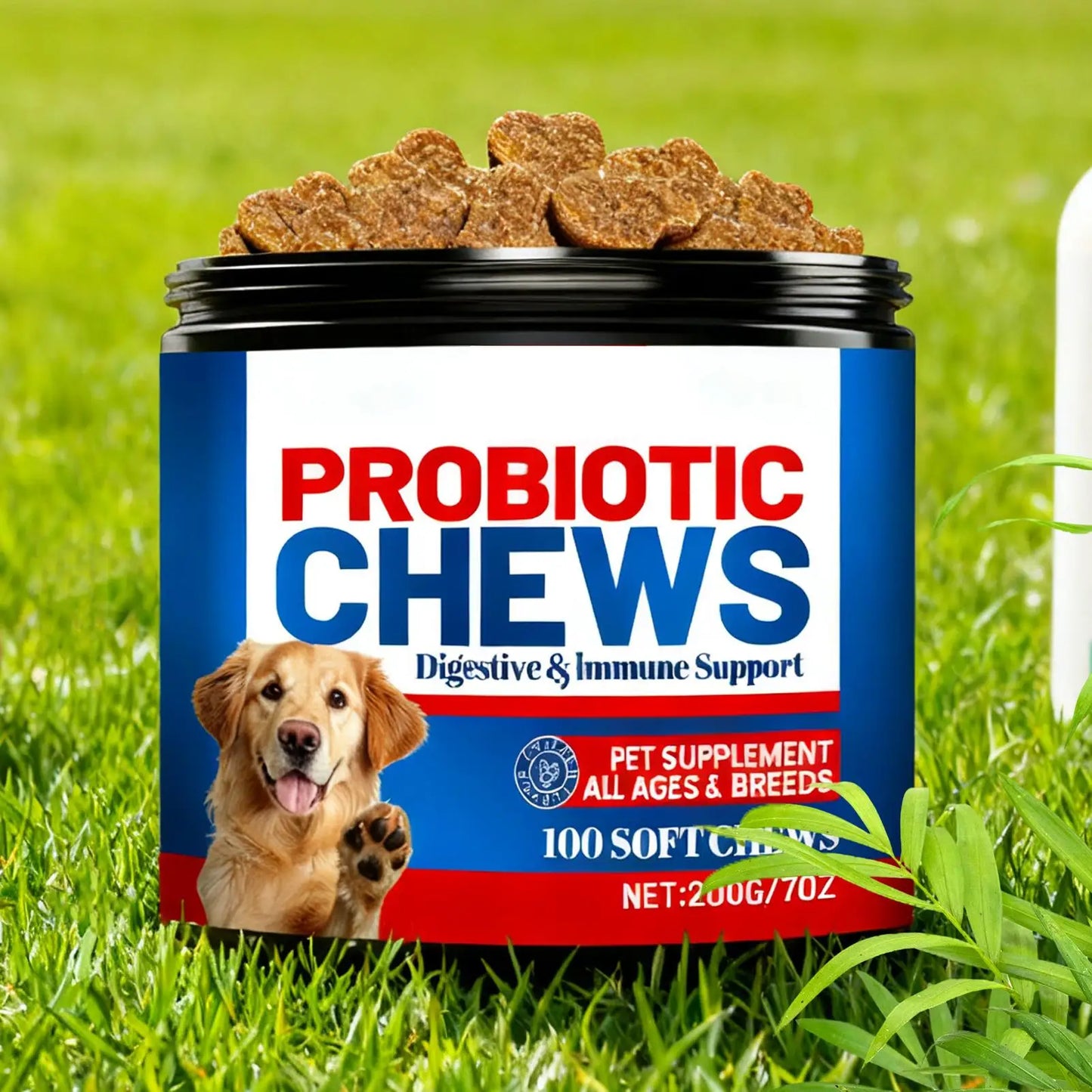 Complément alimentaire pour la santé intestinale des chiens 200 g, friandises saines, soins naturels pour la peau, santé digestive, comprimés à mâcher après les repas, changements de saison