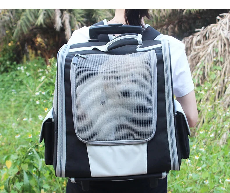 Mochila de Viagem para Cães com Rodas, Carrinho de Cachorro Impermeável, Mochila Transportadora de Animais de Estimação, Mochila de Viagem com Malha para Filhotes e Gatos