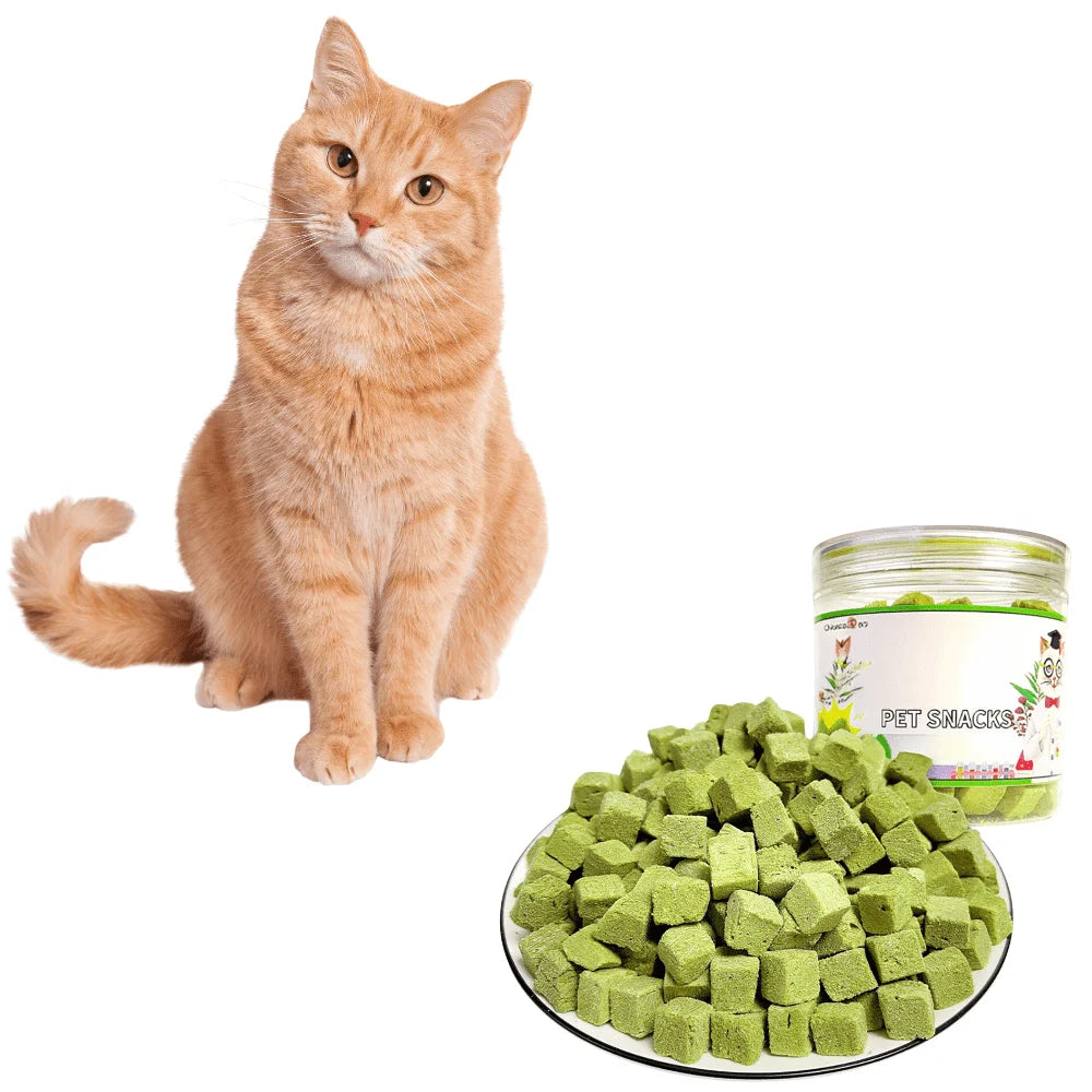 3.8oz/100g Cat Grass Treats for Hairball Support and Teeth Cleaning, Chicken Flavored Hairball Treats for Cats Happy Tails Pet Shop Store