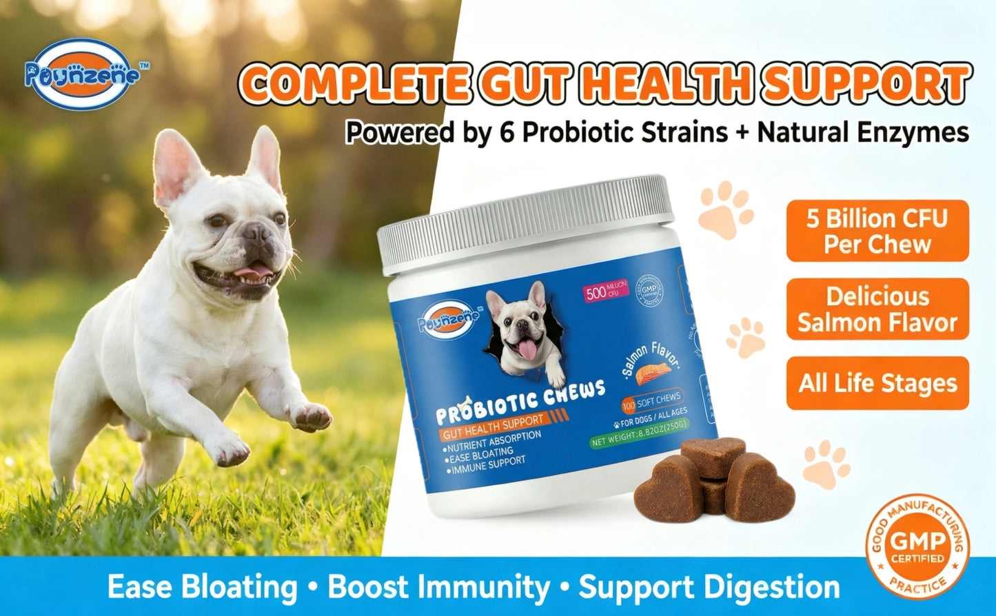 【100 Chews】Probiotics for Dogs-  - Relieve stomach sensitivity and dog gut health probiotics - Digestive Remedies Happy Tails Pet Shop Store