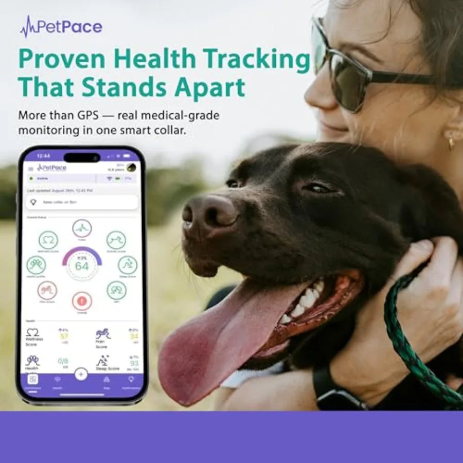 Collier de santé intelligent pour chiens avec surveillance continue des signes vitaux, alertes de douleur et de crises d'épilepsie, suivi GPS, téléconsultations et application de partage avec le vétérinaire. 