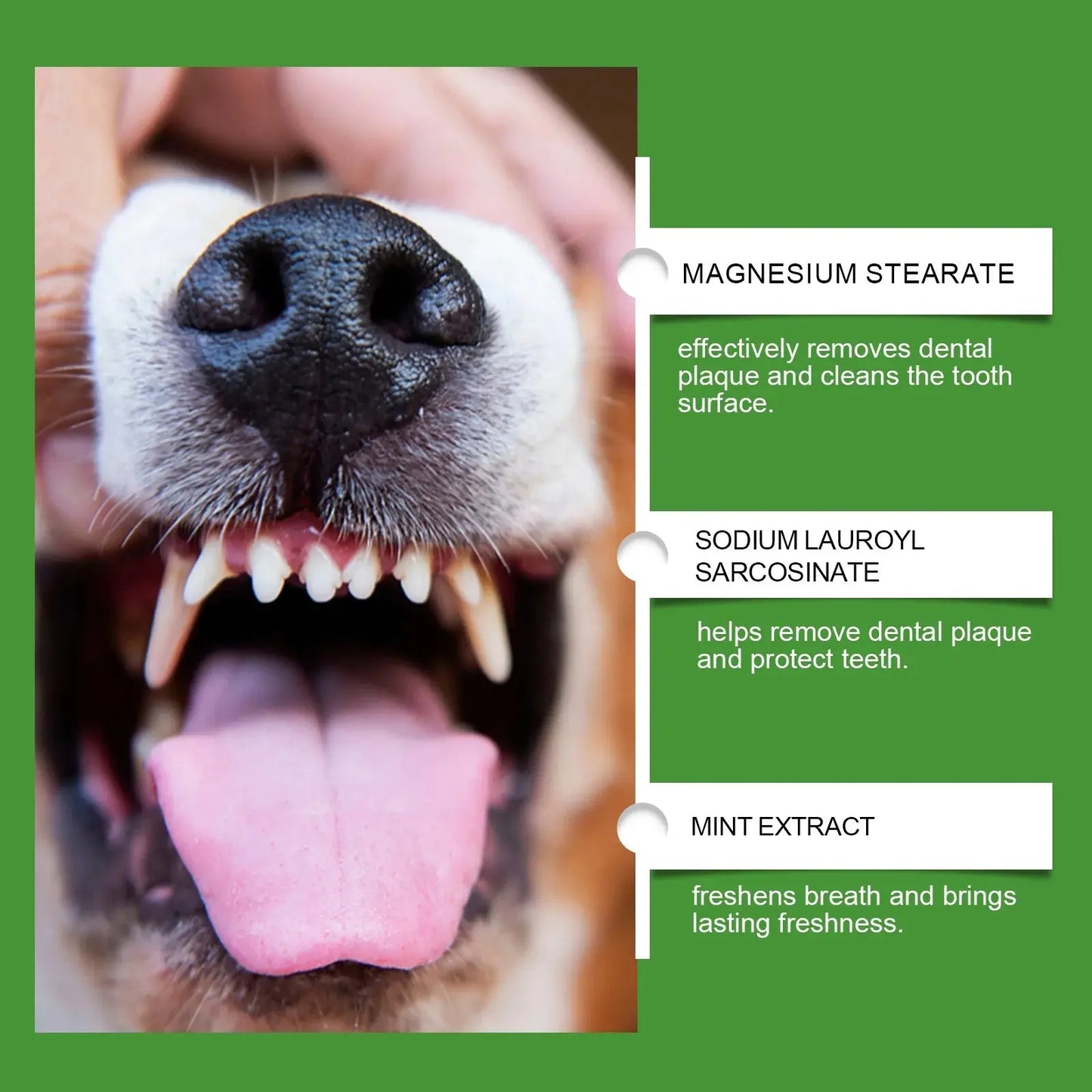 Pet Teeth Cleaning Powder Reduces Tartar and Calculus Protect Dog Oral Gum Health Freshen Breath Teeth Cleaning Product Happy Tails Pet Shop Store