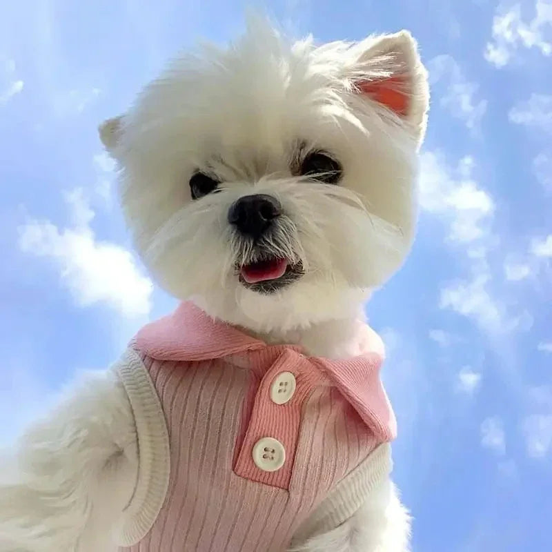 HLHYX Dog T-shirt Breathable Summer Puppy Polo Shirt for Small Medium Dogs Puppy Clothes Colorblock Pet Vest Dog Supplies