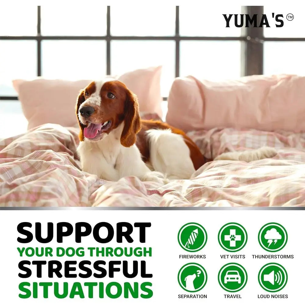 Golosinas masticables calmantes de cáñamo YUMA'S (2 unidades) para perros - Masticables calmantes para perros - Golosinas para aliviar la ansiedad - Ayuda para la separación, ladridos, estrés