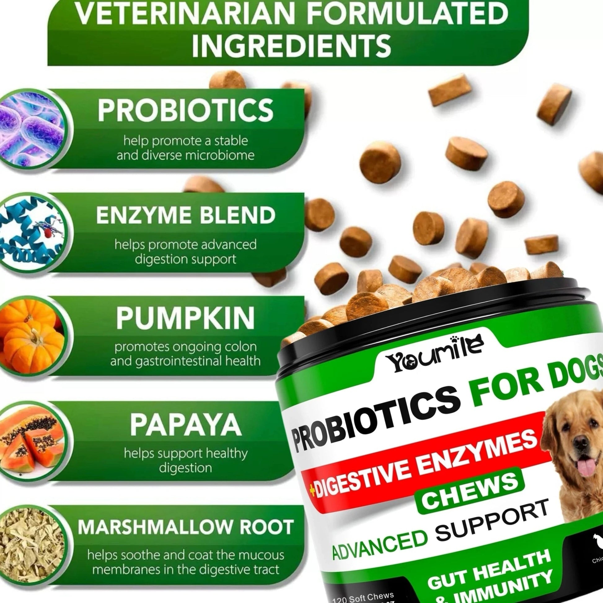 【120 Chews】Probiotics for Dogs-  - Relieve stomach sensitivity and dog gut health probiotics - Digestive Remedies Happy Tails Pet Shop Store