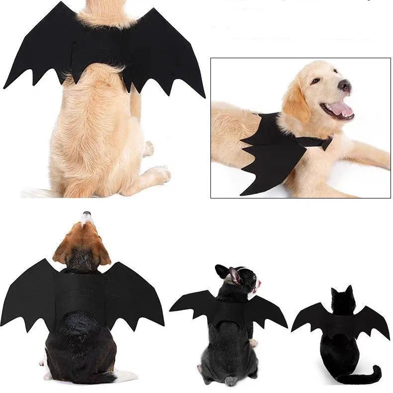 Cute Cat Cosplay Costume – Black Bat Wings with Safety Belt, Role-Playing Pet Cat Dog Halloween Party Decoration Supplies Happy Tails Pet Shop