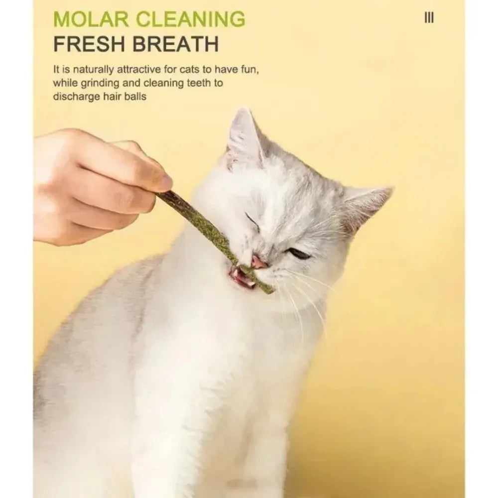 6pcs Natural Matatabi Cat Stick Mint Caught Bite Excited Rods Silvervine For Cat Teeth Cleaning Treating Pet Supply Cat Toys Happy Tails Pet Shop Store