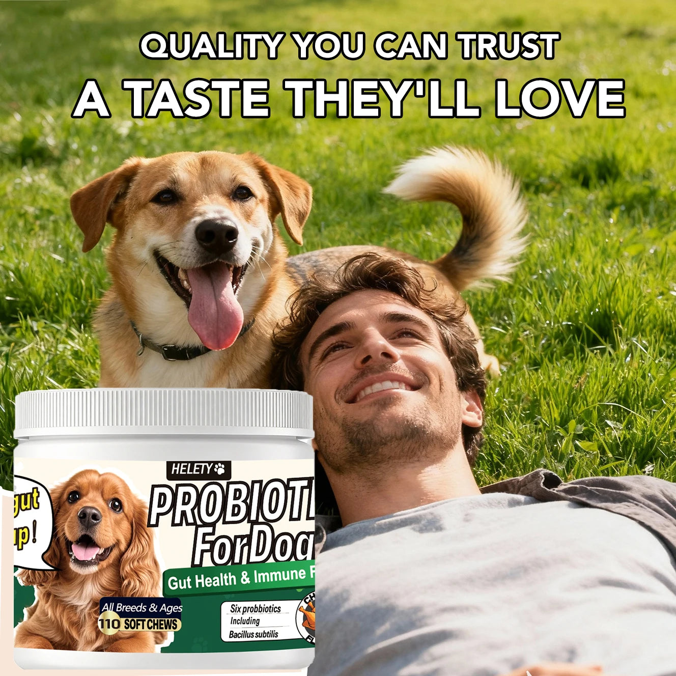 Probiotics for Dogs Digestive Health Soft Chews with Pumpkin & Fish Oil 120 Count Gut Health Itchy Relief Dog Probiotic Suppleme Happy Tails Pet Shop Store