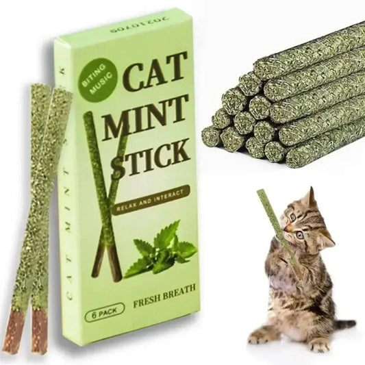 6pcs Natural Matatabi Cat Stick Mint Caught Bite Excited Rods Silvervine For Cat Teeth Cleaning Treating Pet Supply Cat Toys Happy Tails Pet Shop Store