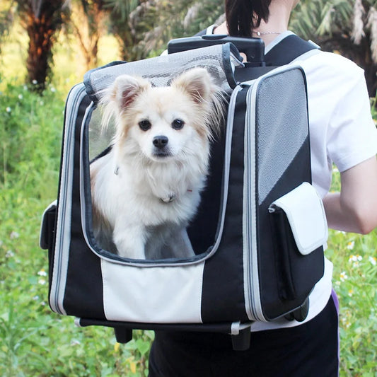 Travel Bag Dog Cart Backpack Waterproof Pet Rolling Trolley Dog Carrier Backpack Mesh Travel Bag With Wheels For Puppies Cat