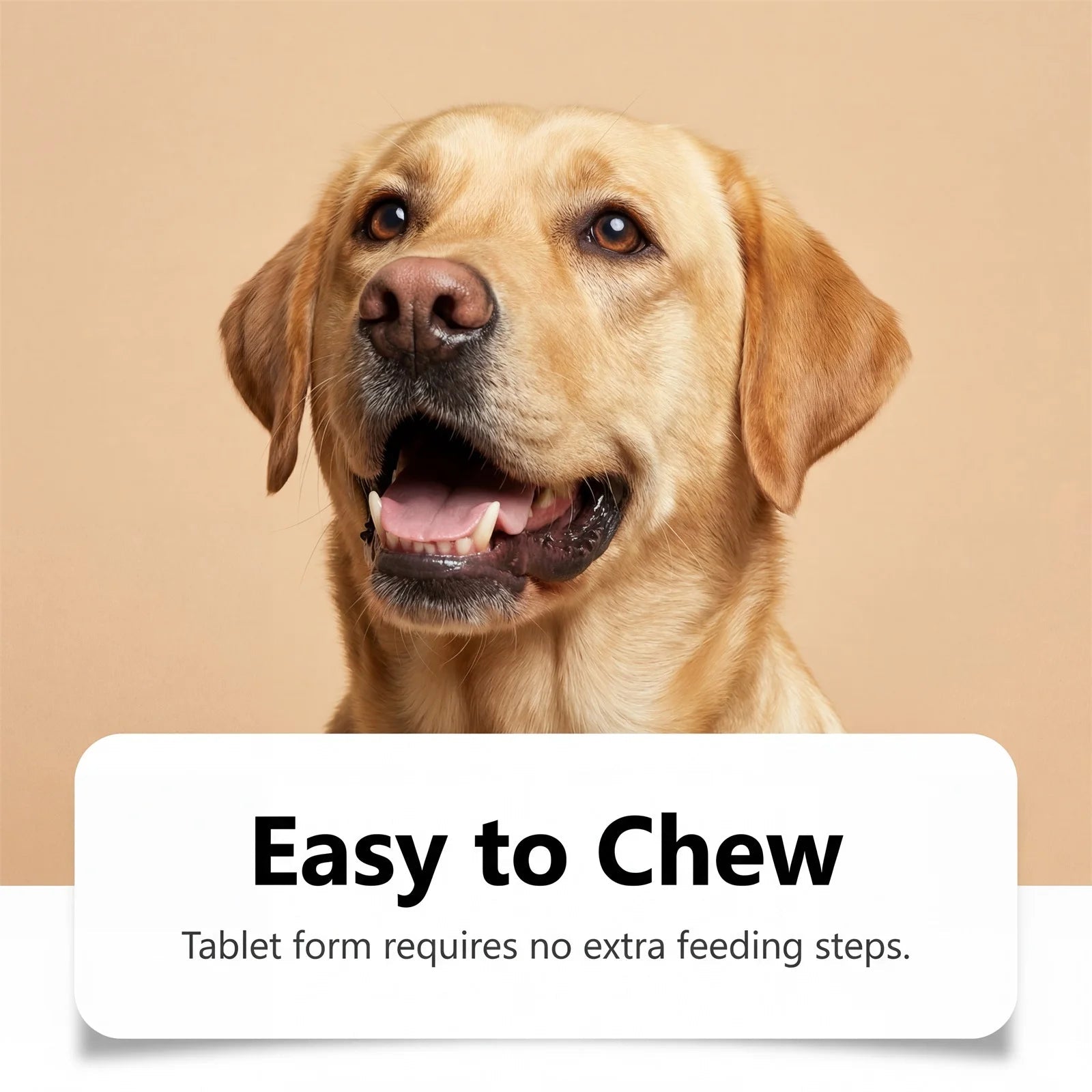 Natural Dog Digestive Support Probiotic Chews Chicken Flavored Supplement for Constipation Relief Puppy Stomach Care 200g Happy Tails Pet Shop Store