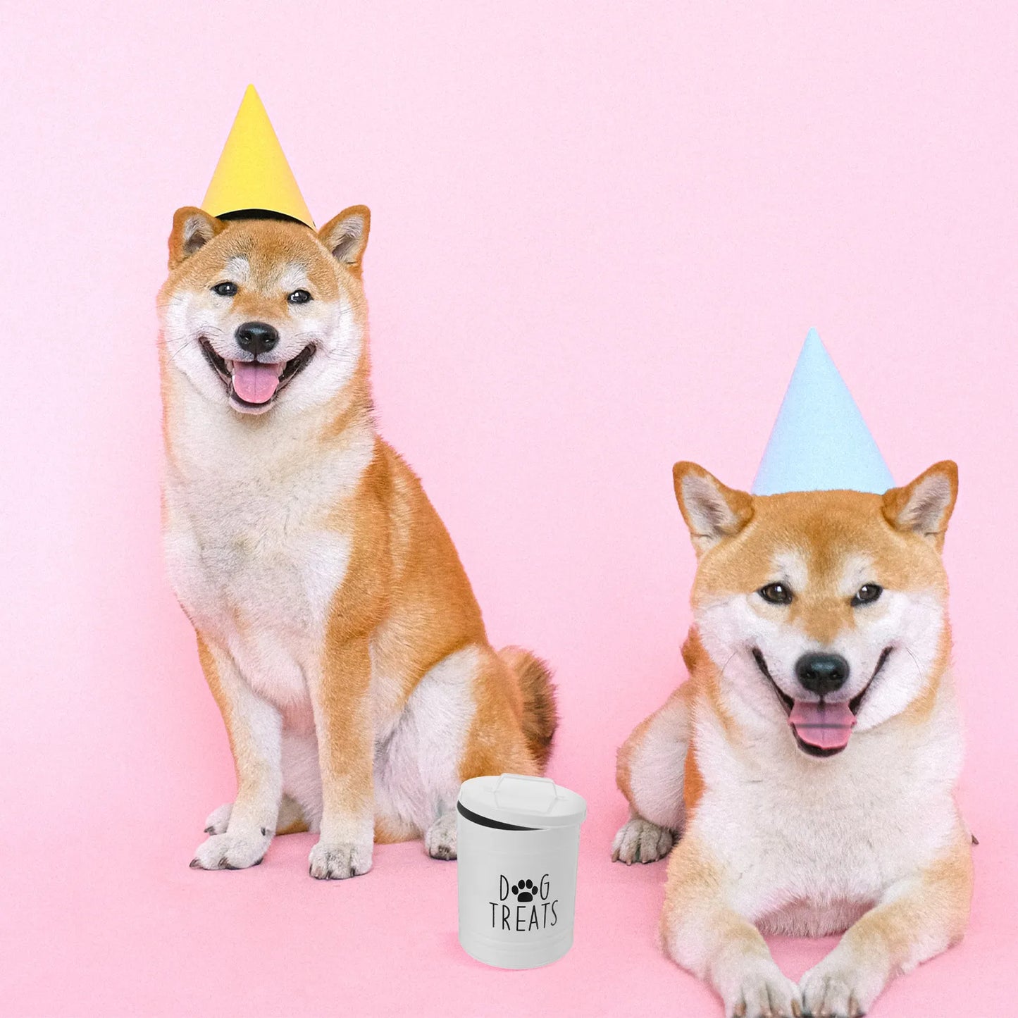 Boîte de rangement hermétique pour croquettes de chien, récipient métallique pour chiots, pot à friandises pour chien, organisateur de collations pour la cuisine et le comptoir