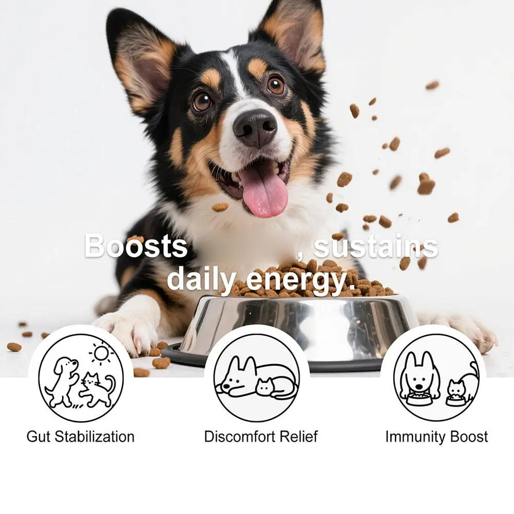 Bacon Flavor Dog Probiotic Powder Gut Flora Balance Digestive Aid Intestinal Health Care For Puppy Adult Dogs Happy Tails Pet Shop Store