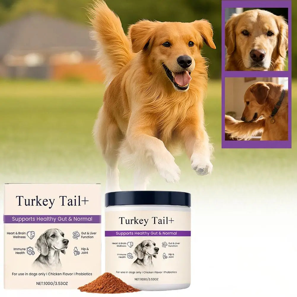 Bacon Flavor Dog Probiotic Powder Gut Flora Balance Digestive Aid Intestinal Health Care For Puppy Adult Dogs Happy Tails Pet Shop Store
