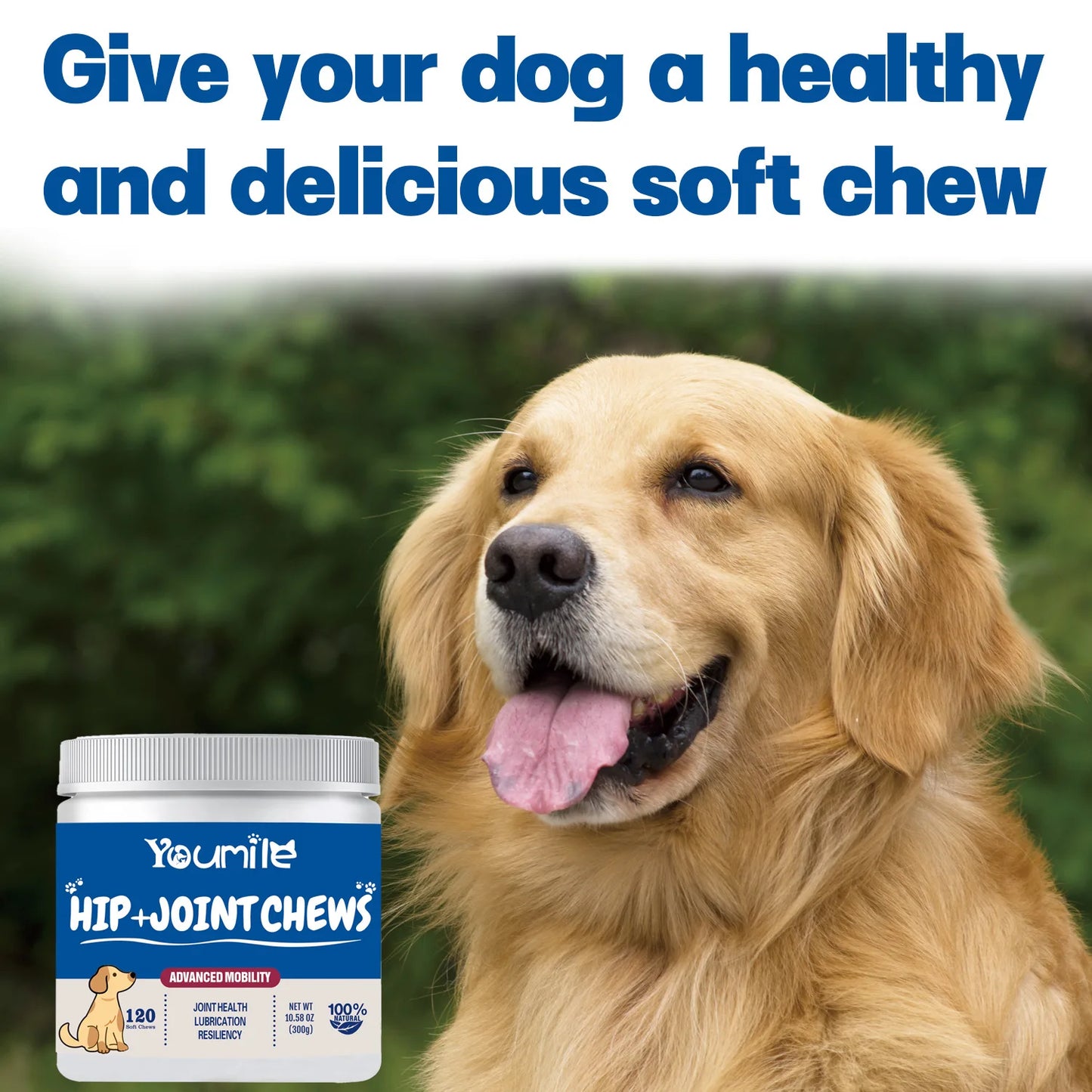 Suplemento Articular para Cães Youmile com Ácido Hialurônico - Comprimidos de Glucosamina Condroitina para Alívio da Dor da Artrite