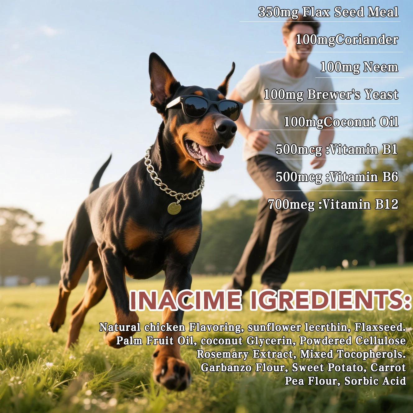20-in-1 Dog Multivitamin Soft Chews Skin Coat Immune Gut Health Support Vitamins Minerals Omega-3 Iron Zinc Supplement for Dogs Happy Tails Pet Shop Store