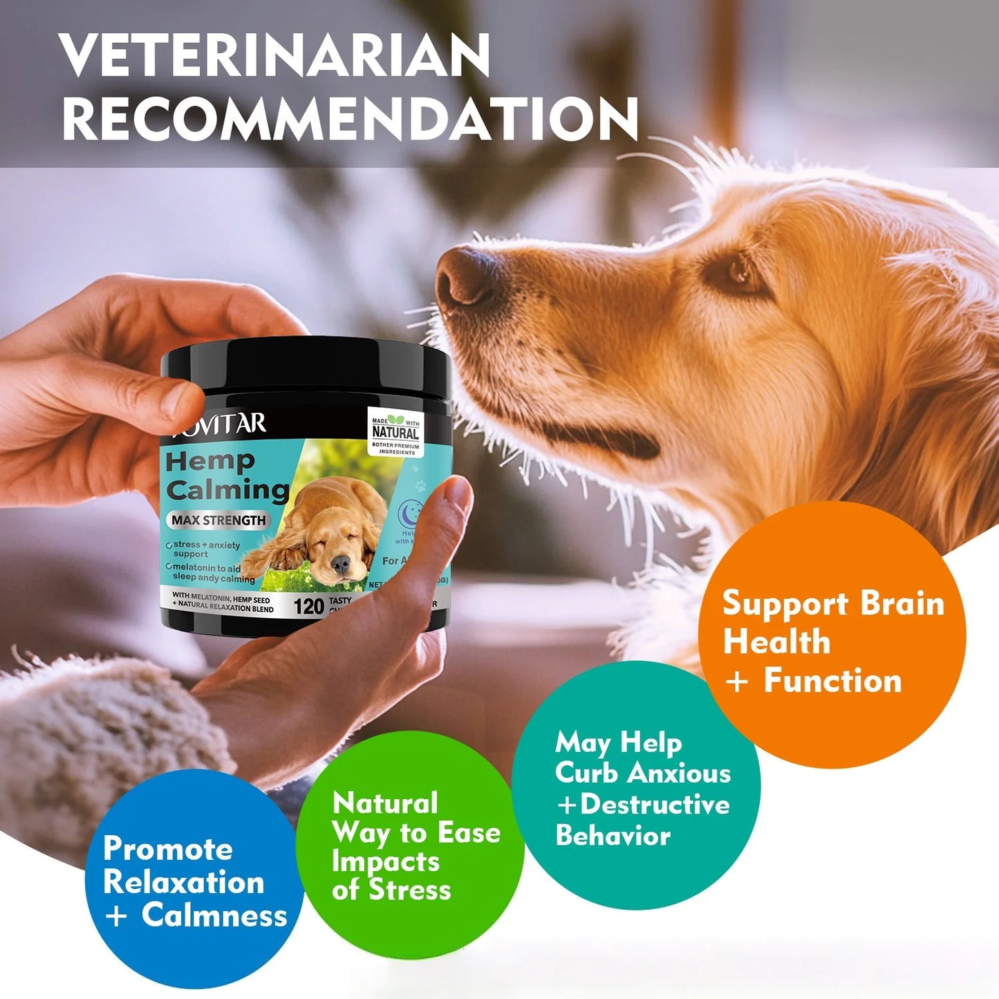 Dog Calming Chews, Helps With Dog Separation, Barking, Stress, Sleep Calming Aid Treats, For All Breeds & Sizes - Pet Food&Pet Snacks-120 Beef Soft Chews