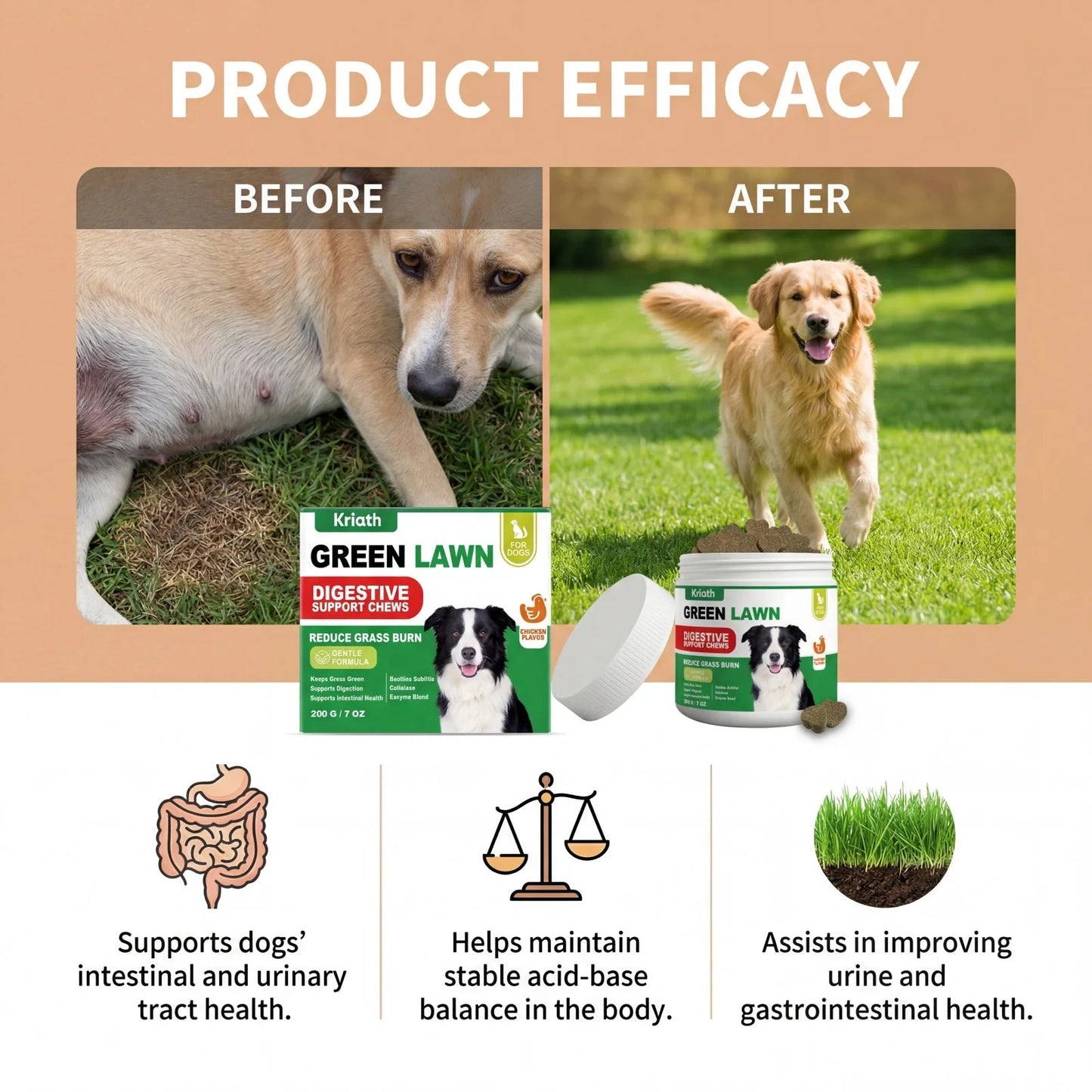 Dog Probiotics Digestive Enzymes for Gut Health Urinary Tract Support Chicken Flavor Pet Supplements Gas Relief Chews 200g Happy Tails Pet Shop Store
