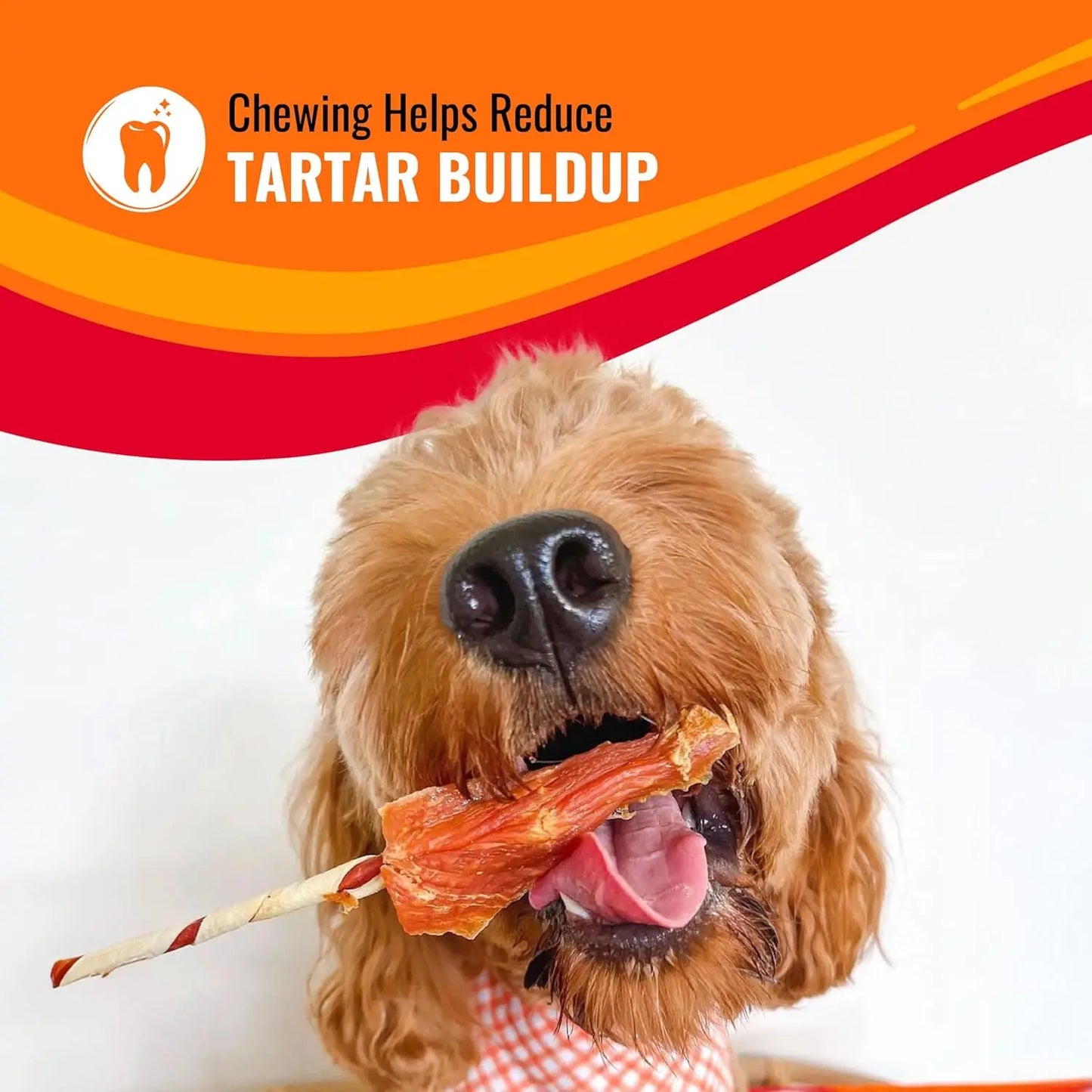 Friandises à mâcher pour chiens en forme d'haltère, saveur poulet, à base de cuir brut longue durée pour les petites races