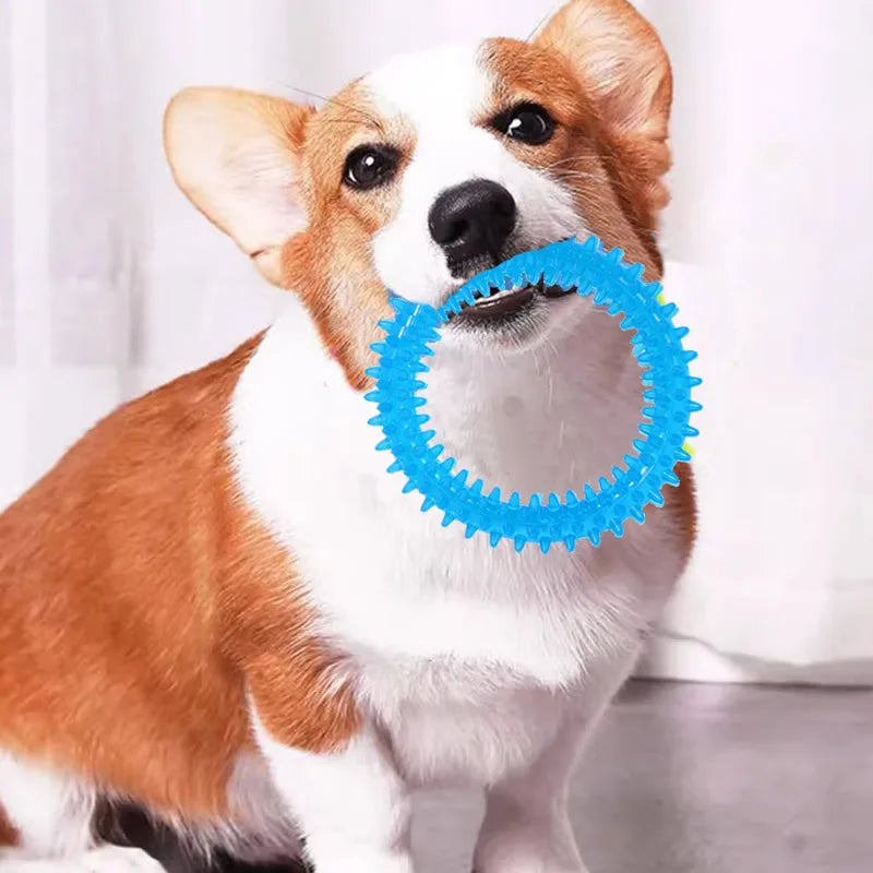 Molar bite dog toy toys Puppy chew toys Biting dog toy Teeth teeth bite dog toy  Transparent pet chew toy Dog dental chews Happy Tails Pet Shop Store