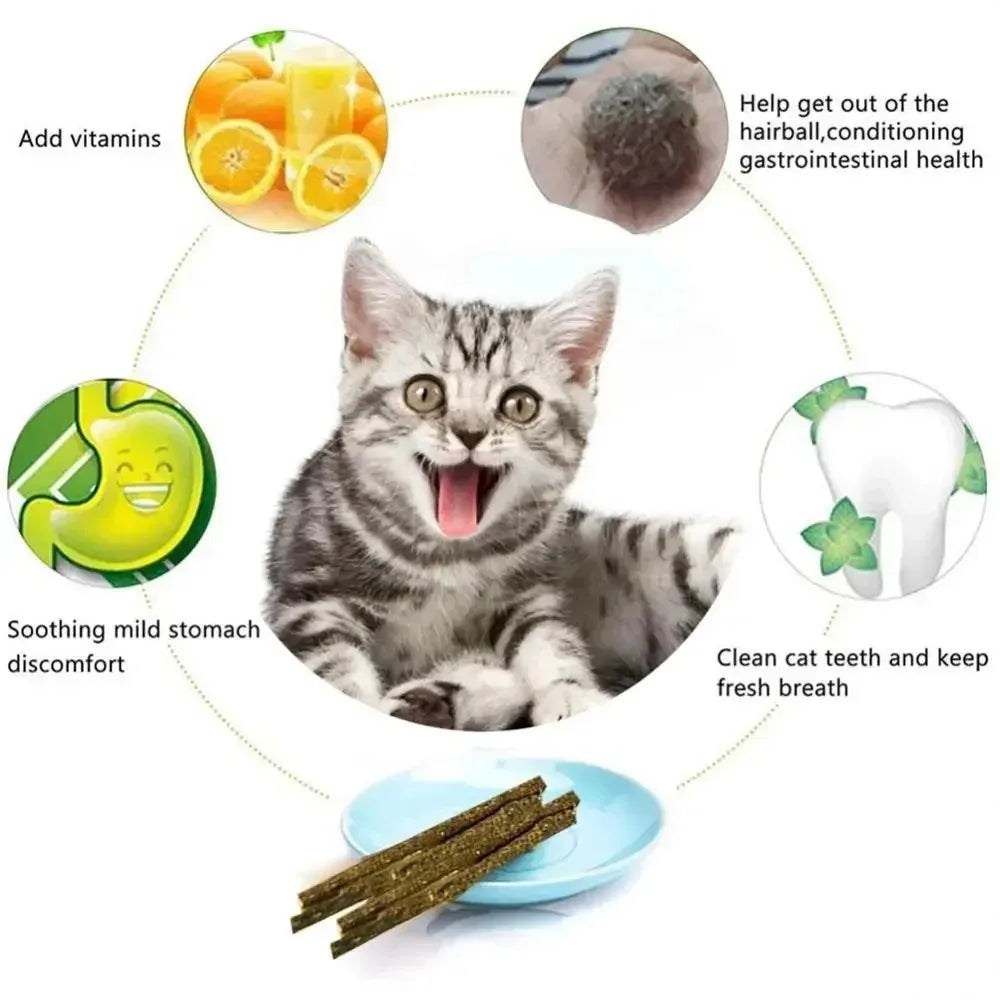 6pcs Natural Matatabi Cat Stick Mint Caught Bite Excited Rods Silvervine For Cat Teeth Cleaning Treating Pet Supply Cat Toys Happy Tails Pet Shop Store