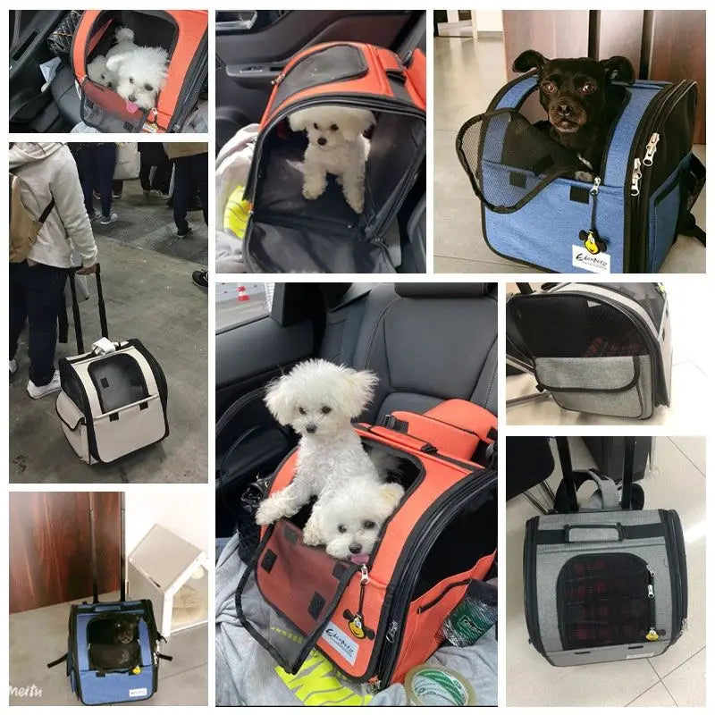 Large Pet Trolley Stroller Foldable Multifunctional Transport Airline Approved Dog Cat Carrier Backpack On Wheels