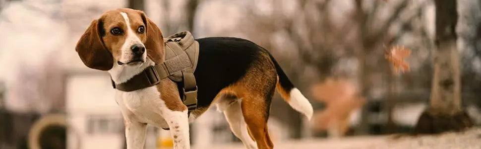 Tactical Dog Harness with Handle Hiking Training Vest Dogs Accessories for Medium Large Dogs Safety Comfortable Harness