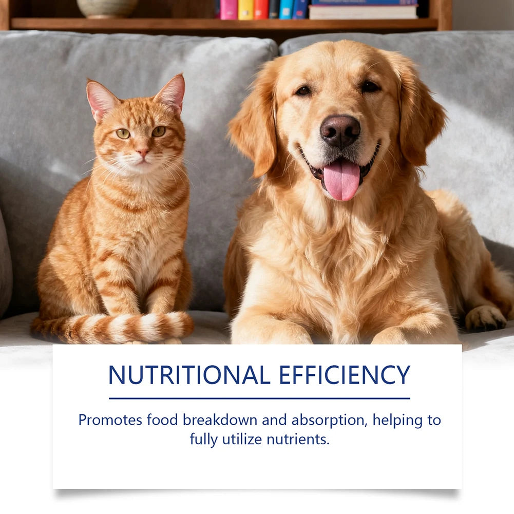 60ml Probiotic Care Drops For Dogs Cats Supports Health Digestion & Immunity Reduces Upset Stomach & Discomfort Health Pet Drops