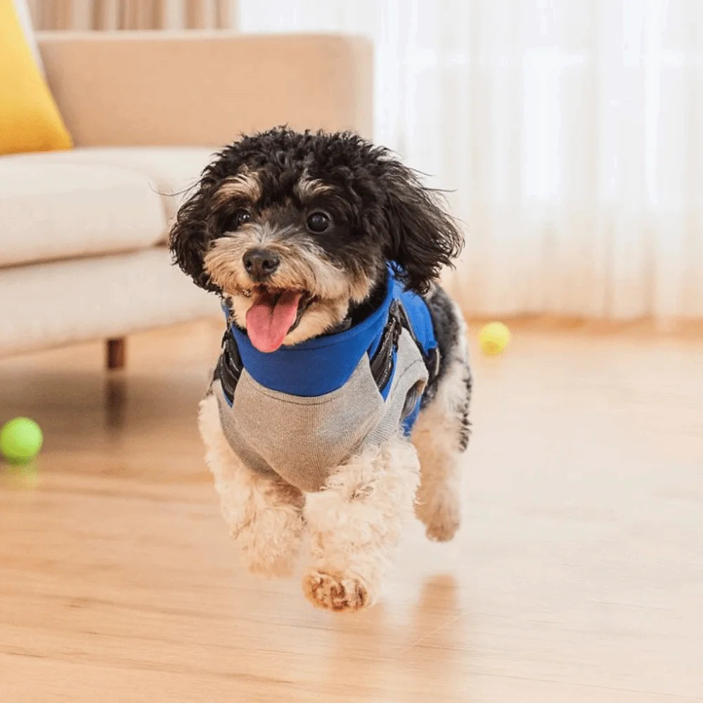 Waterproof Adjustable Dogs Down Clothes Warm Windproof Dog Coat with Harness Soft Dog Jacket for Dogs Cats
