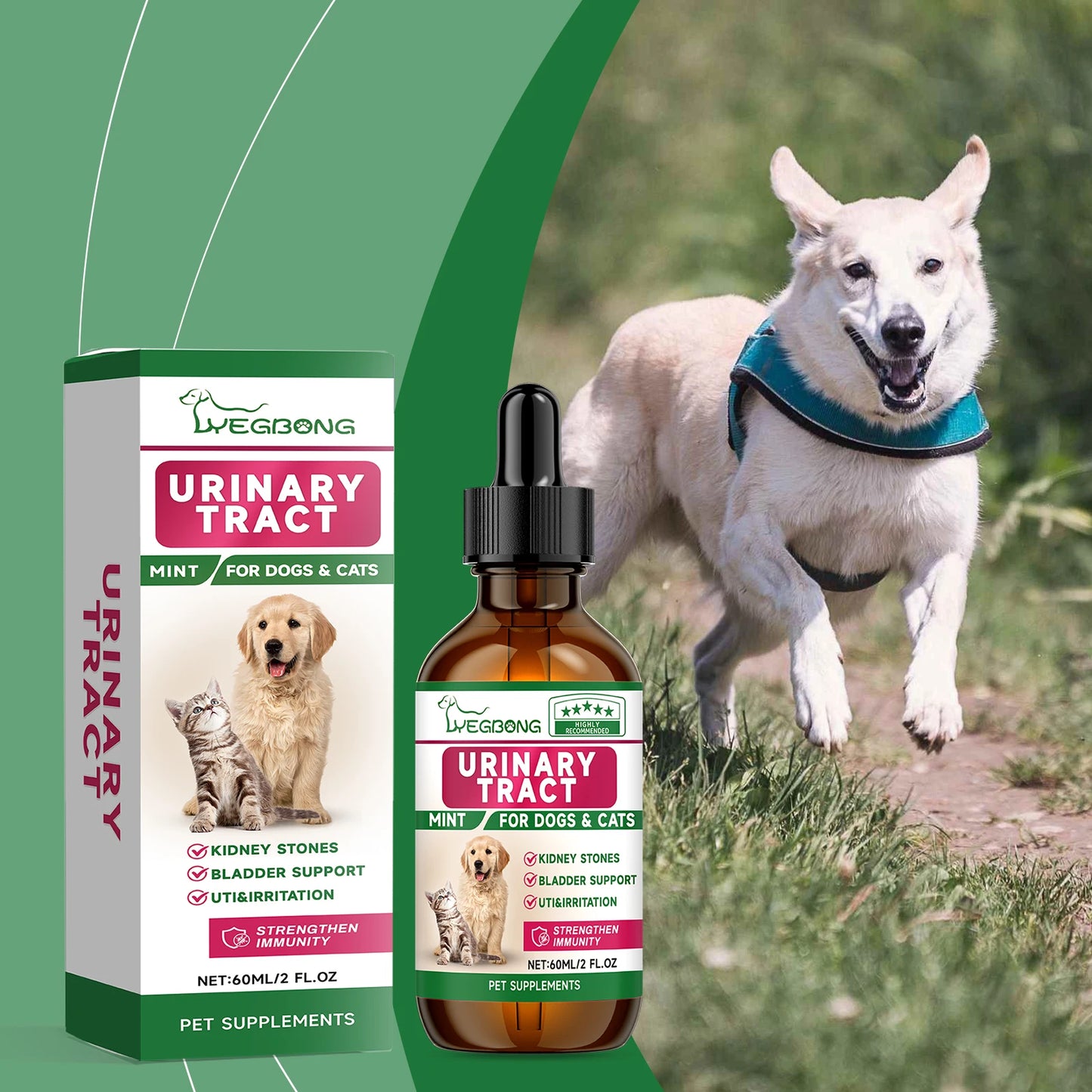 Yegbong Pet Care Supplement for Promoting Kidney Health – Enhances Pets' Vitality with Gentle Ingredients