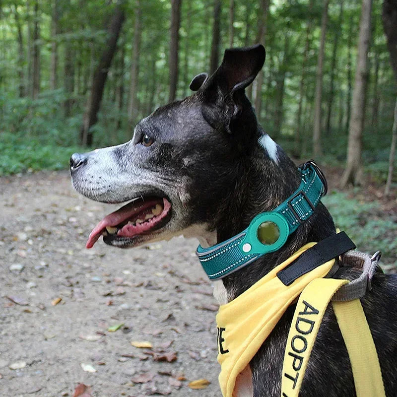 Waterproof Anti-Lost Dog Collar Padded Collars with AirTag Holder GPS Tracker Protective Case Adjustable Collar for Large Dogs
