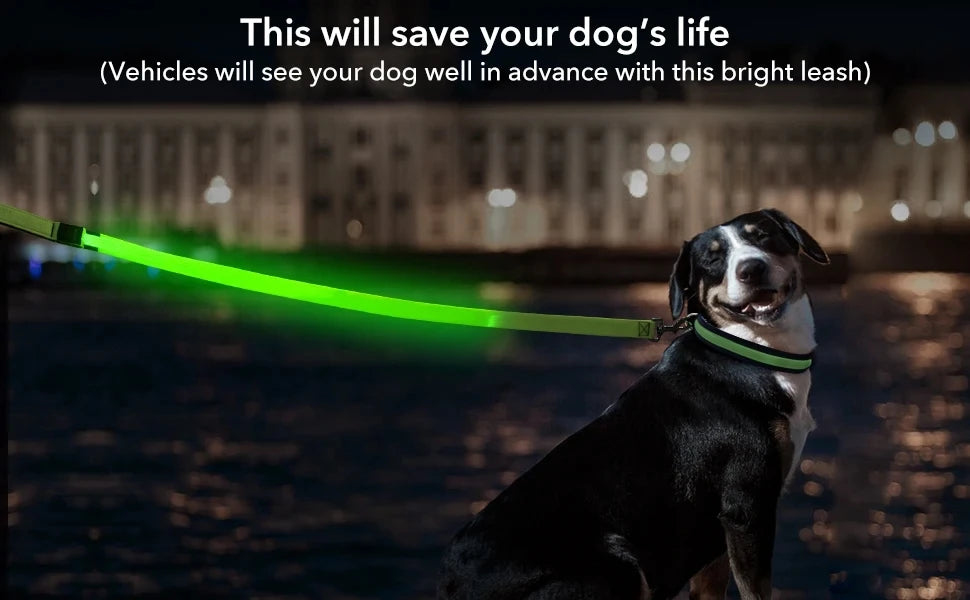 Glowing Led Dog Leash Usb Rechargeable Pet Dog Flashing Nylon Webbing Leashes- 3 Lighting Modes Keep Your Pets Safe In Darkness