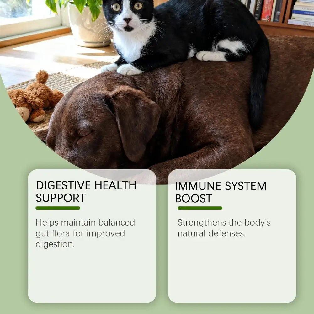60ML Pet Nutrition Supplement Probiotic Drops Containing Enzymes Used For Pet Digestion And Immune Daily Health Supplement
