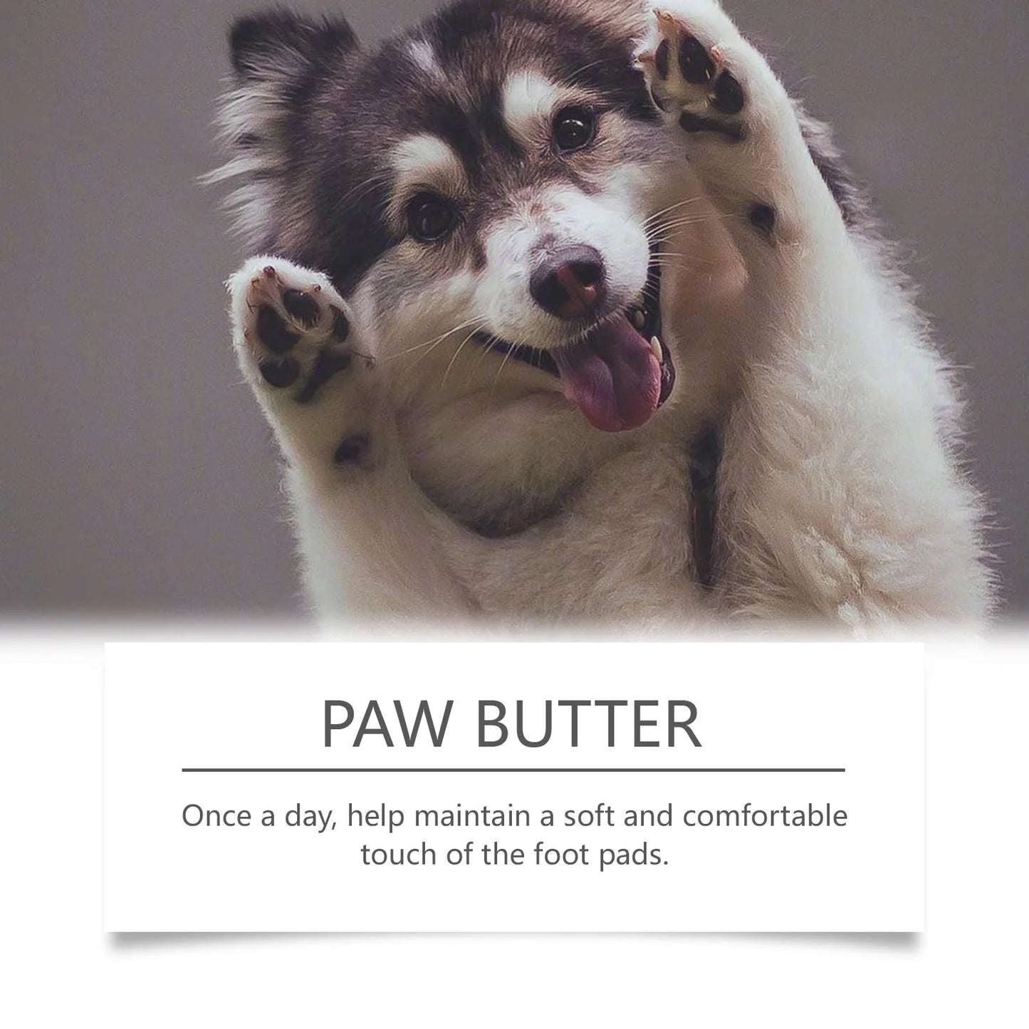 YEGBONG Paw Care Cream for Dogs Deep Moisturizing Improve Drying Not Slipping Coconut Oil Natural Ingredients Pet Paw Balm 30g