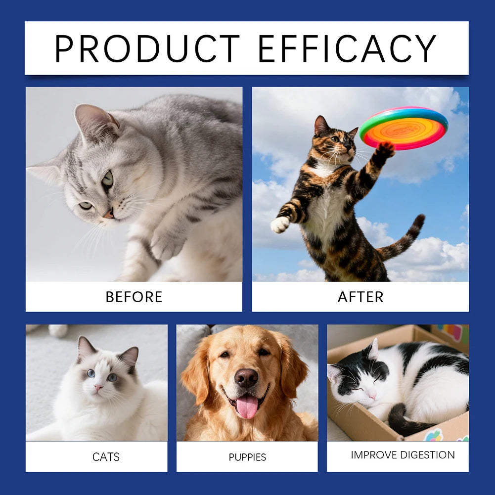 60ml Probiotic Care Drops For Dogs Cats Supports Health Digestion & Immunity Reduces Upset Stomach & Discomfort Health Pet Drops