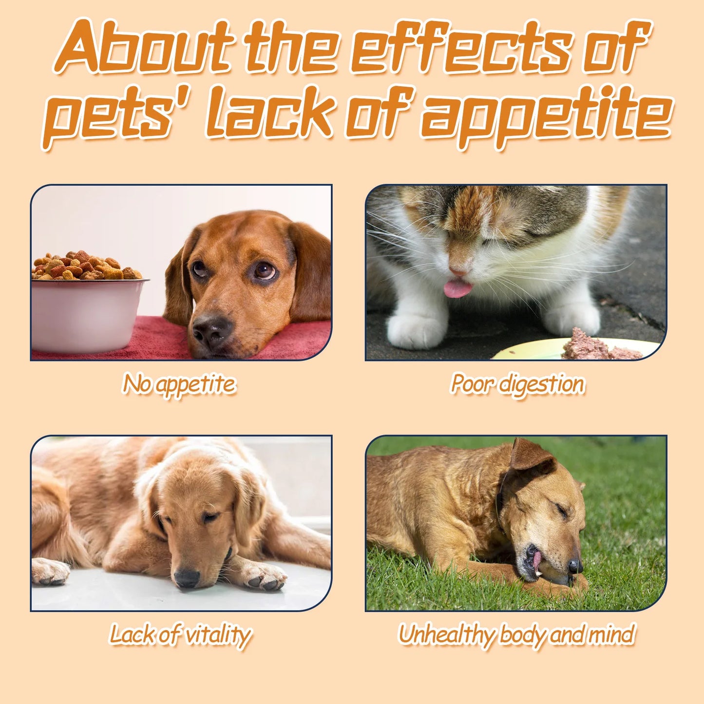 Pet Nutrition Supplement Gastrointestinal Care Stomach Conditioning Improve Digestion Health Enhance Appetite Dog Health Drop