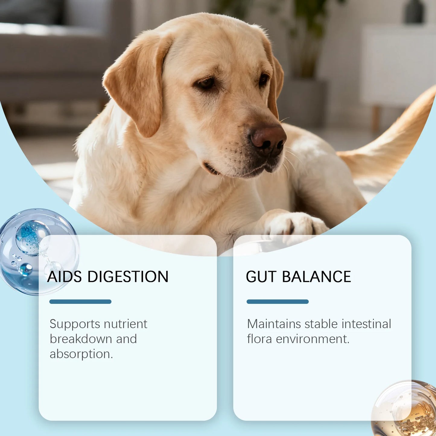 200g Dog Body Care Soft Granules-Protect Pet Health Aid Digestion Enhance Nutrient Absorption Balance Gut Flora Pet Comfort Care