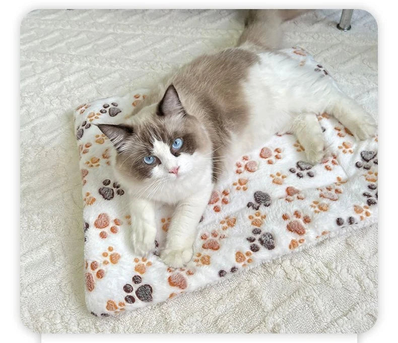 Flannel Pet Sleeping Mat Dog Bed Cat Litter Puppy Bed Dog Sofa Lovely Mattress Cushion for Small Large Dog Blanket For Winter