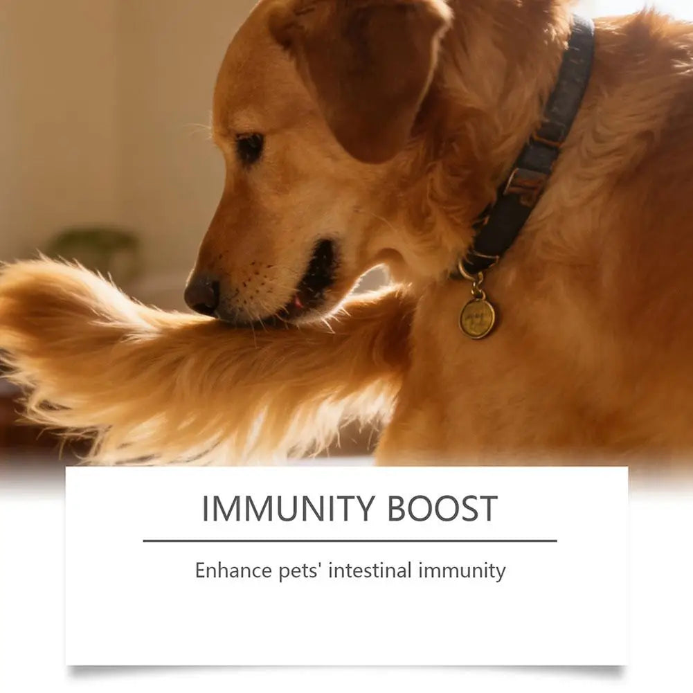 Dog Probiotic Intestinal Powder Delicious Bacon Flavor Digestive Support Long Shelf Life Premium Pet Health Supplement