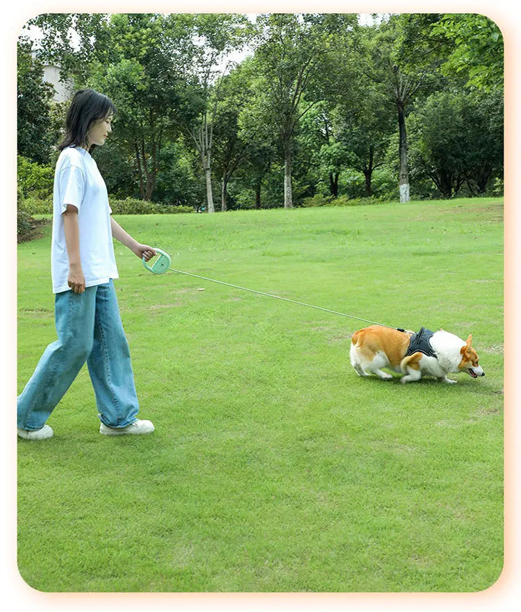 Retractable Dog Leash Pet Leash Traction Rope Belt Automatic Flexible Leash For Small Medium Large Dog Product Accessories