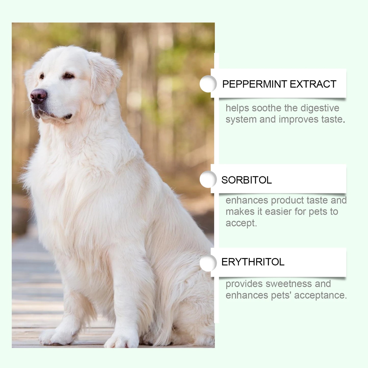 Yegbong Pet Care Supplement for Promoting Kidney Health – Enhances Pets' Vitality with Gentle Ingredients